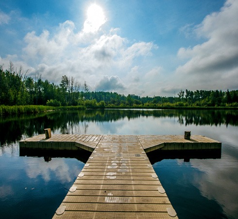 grovedale fish pond 24 1