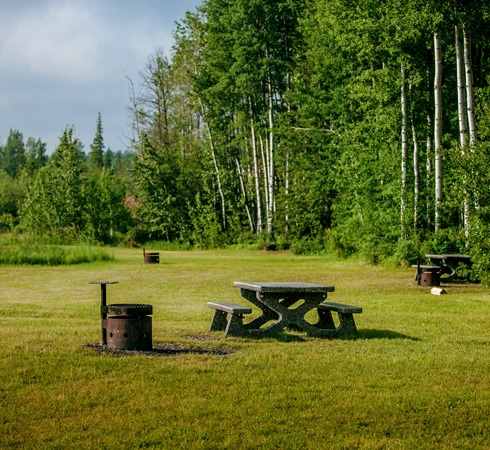 grovedale fish pond 4 1