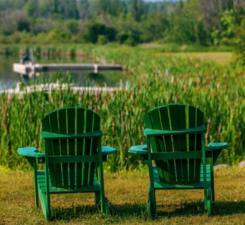 grovedale fish pond 8 1