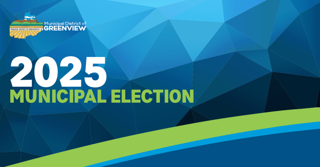 elections 2025 facebook