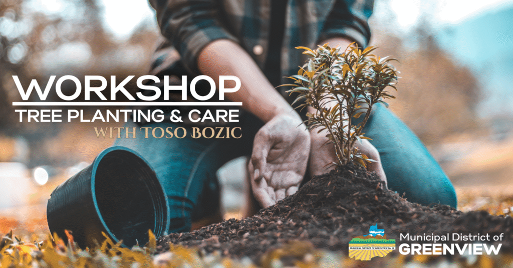 Tree Planting Toso Bozic Tree planting toso bozic